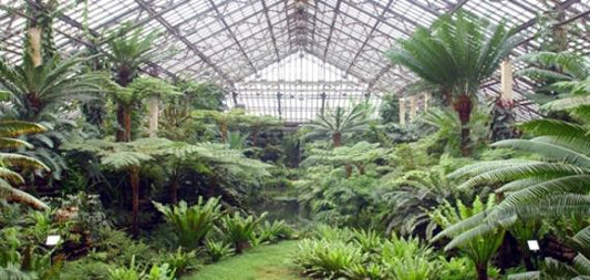 The Garfield Park Conservatory in Chicago, IL