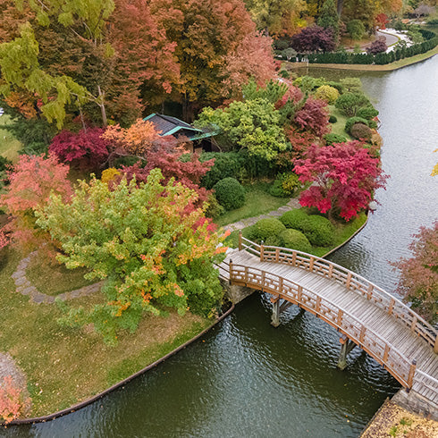 Japanese Festival returns to Missouri Botanical Garden this weekend