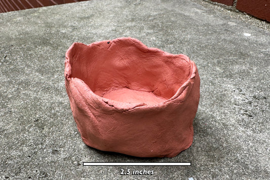 Shallow Terracotta Pot, 2.5"