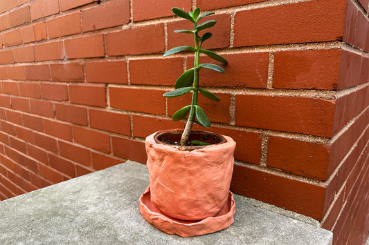 Terracotta Planter Set, 5"