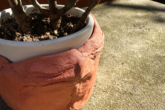 Terracotta Planter Set, 3.5"